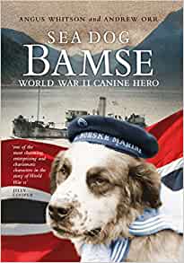 Sea Dog Bamse